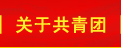 关于共青团